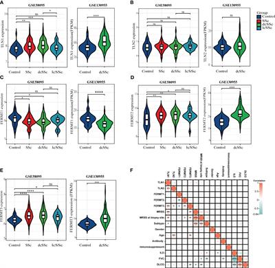 Integrin activating molecule-talin1 promotes skin fibrosis in systemic sclerosis